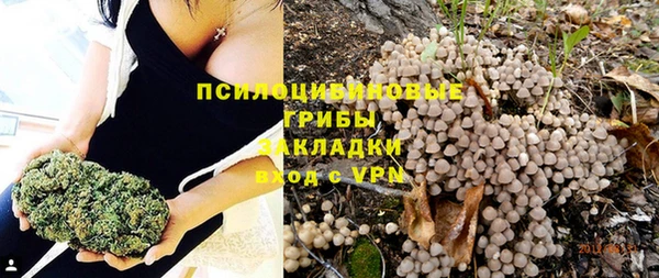 каннабис Аркадак